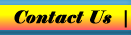 Contact Us Button