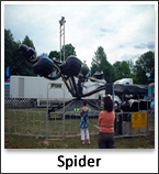 Spider